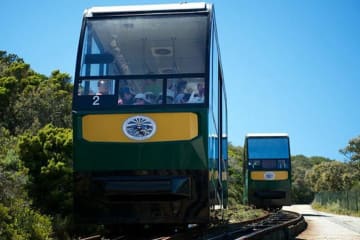 Fun on the FUNICULAR at Cape Point