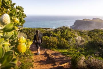The best alternative transport methods in Cape Town