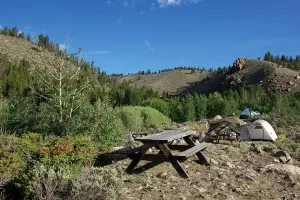 Buena Vista Campsites