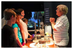 Recommendation: Discoveries are frequently made at the aquarium