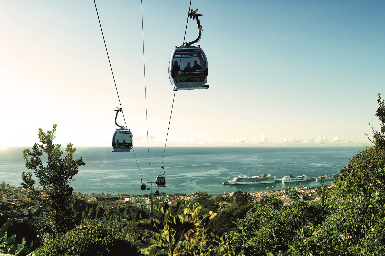 Funchal Cable Car + Hopon Hopoff Bus Tour