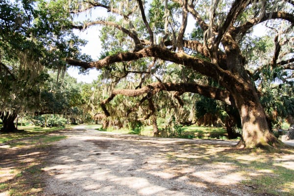 GARDEN DISTRICT & CEMETERY BIKE TOUR