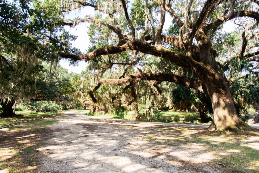 GARDEN DISTRICT & CEMETERY BIKE TOUR