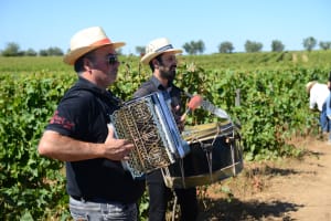 Harvest with traditional music