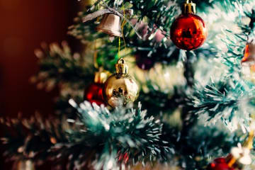 What's the most wonderful time of the year? Christmas!