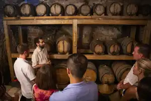 Private Siena and San Gimignano tour with dinner