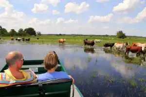 Wild Florida Airboats -- 1 hour airboat tour wildlife park admit & Gator Demo