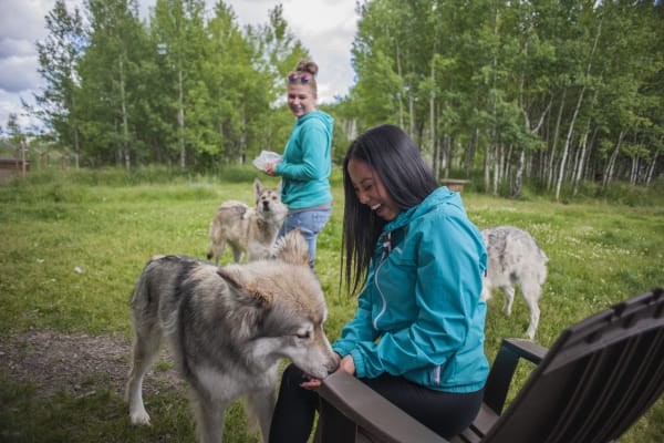 Photo Credit: Travel Alberta & A.V. Wakefield