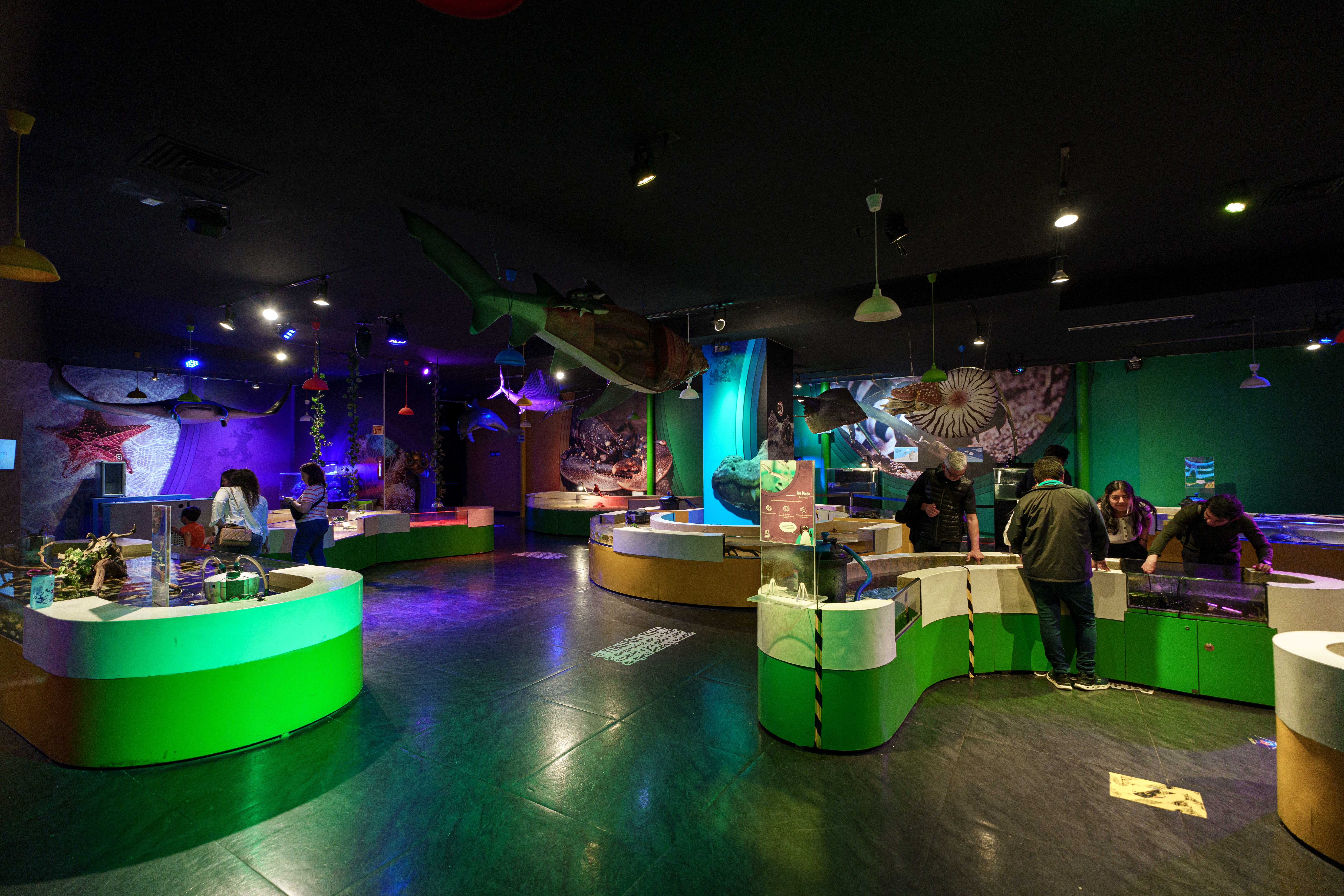 Gallery image 1