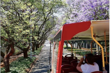 Hop on our red bus 365 days a year