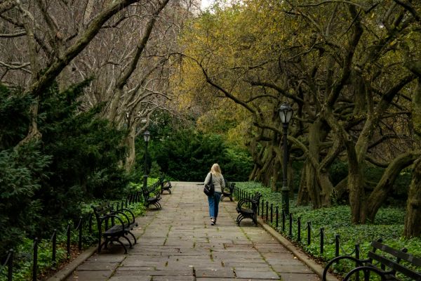 A lady at the Central Park