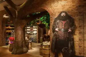 15% off Harry Potter NY Store