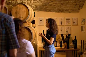 Private Half Day Wine Tour in the Chianti Region with Local Food Tastings