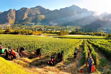 Take in the Sights and Flavours of the Wine Route with City Sightseeing
