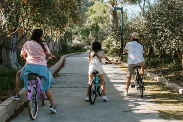 Comfort Bikes