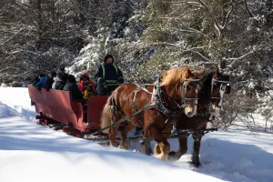 Sleigh ride