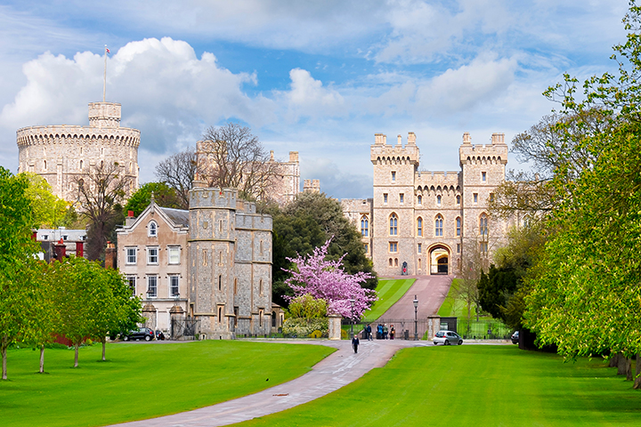 Windsor