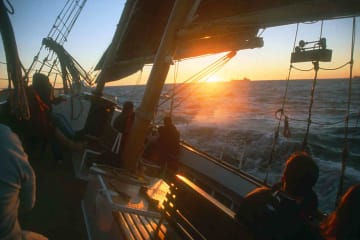 Hit the water with these Cape Town Summer Cruises