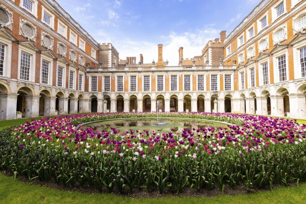 Hampton Court Fountain Court tulips