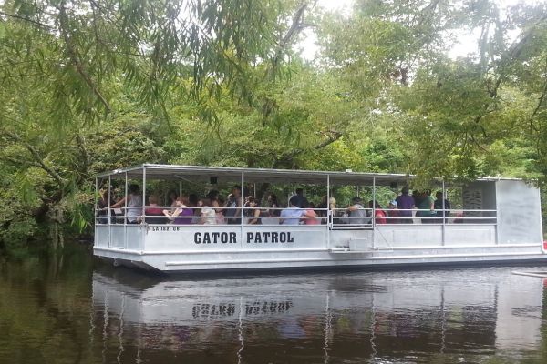 Gator Patrol at the Cajun Pride Swamp