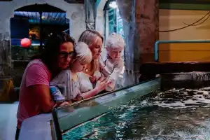 SEA LIFE Brighton
