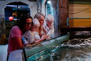 SEA LIFE Brighton