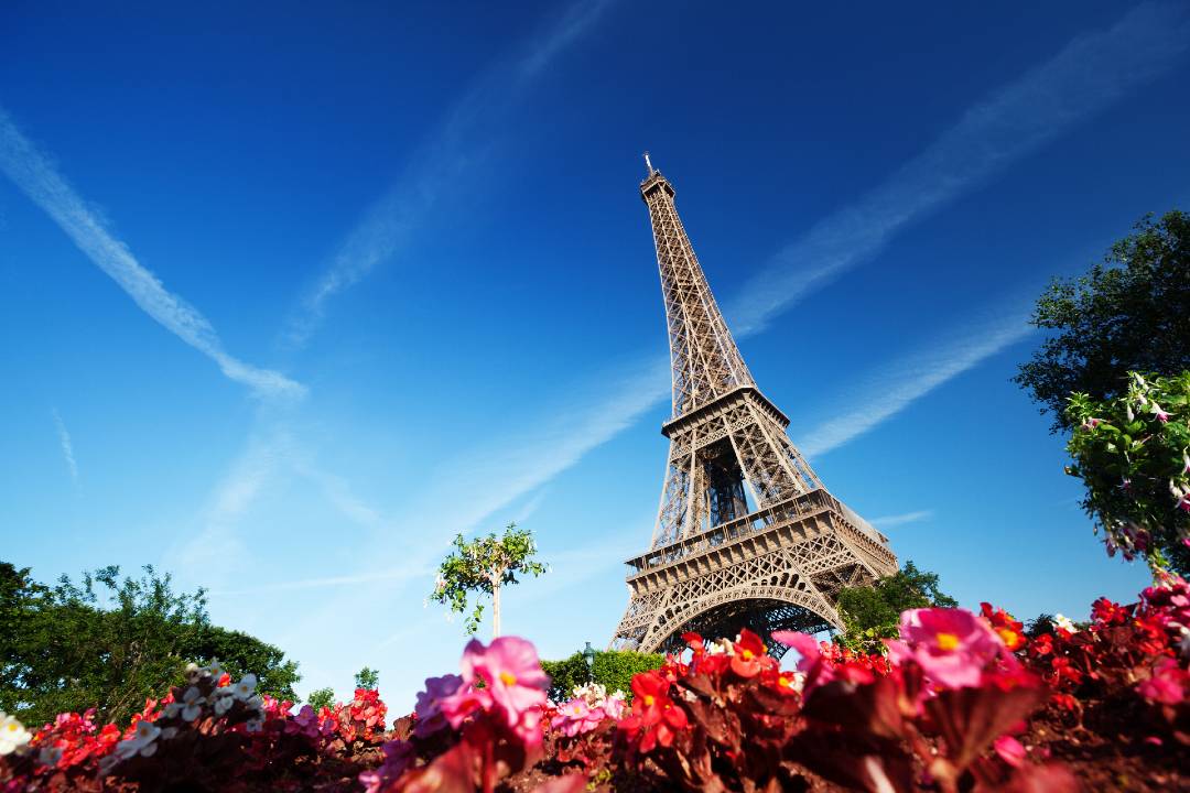 Paris Private Day Tour with Driver Guide – Image 2 | WeShare