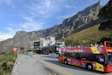 Treat the kids with a red bus trip these school holidays!