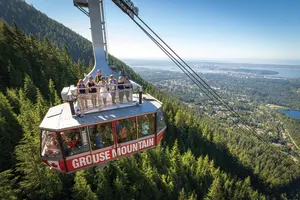 Capilano Suspension Bridge + Grouse Mountain Tour