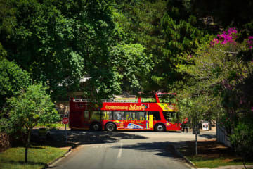 Explore the City of Gold on the red bus