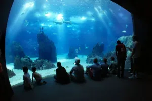 Oceanário de Lisboa