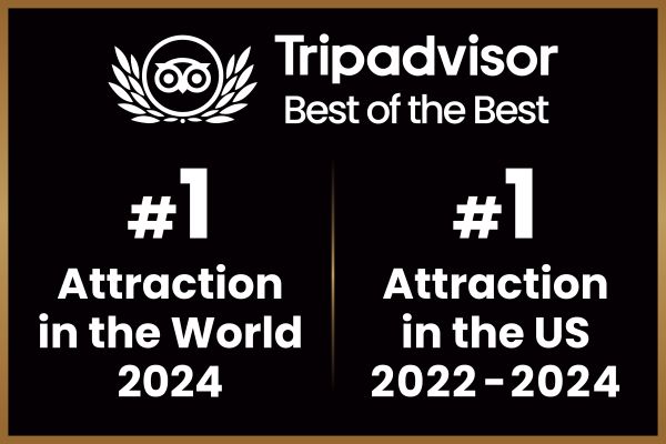 Trip Advisor number one Attraction in the world