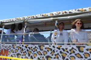 Live guided Urban Safari Tour