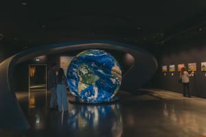 WOW - The Wine Experience