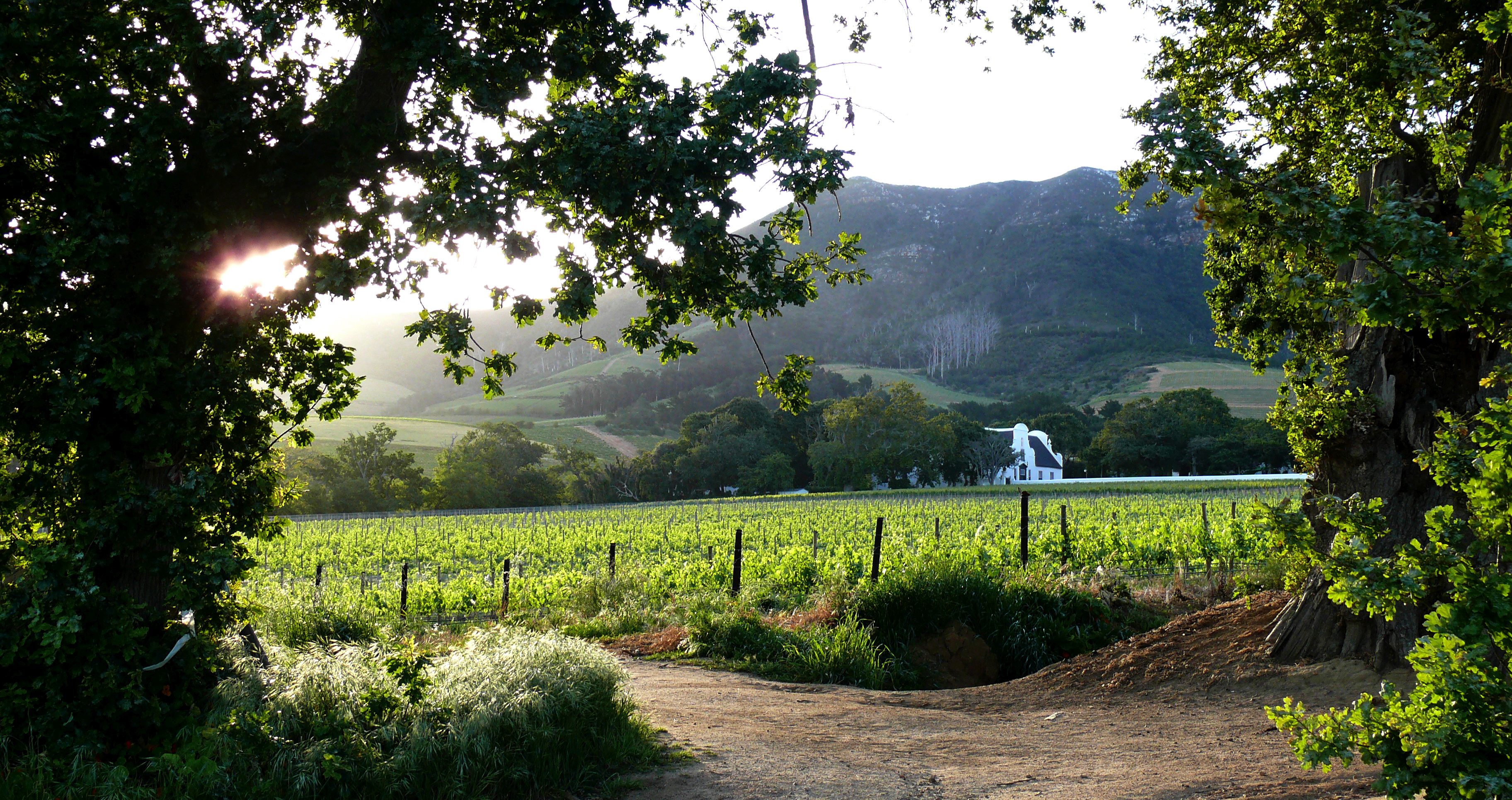 The City Explorer Pass