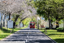 Recommendation: What to know about the Constantia Wine Valley Bus