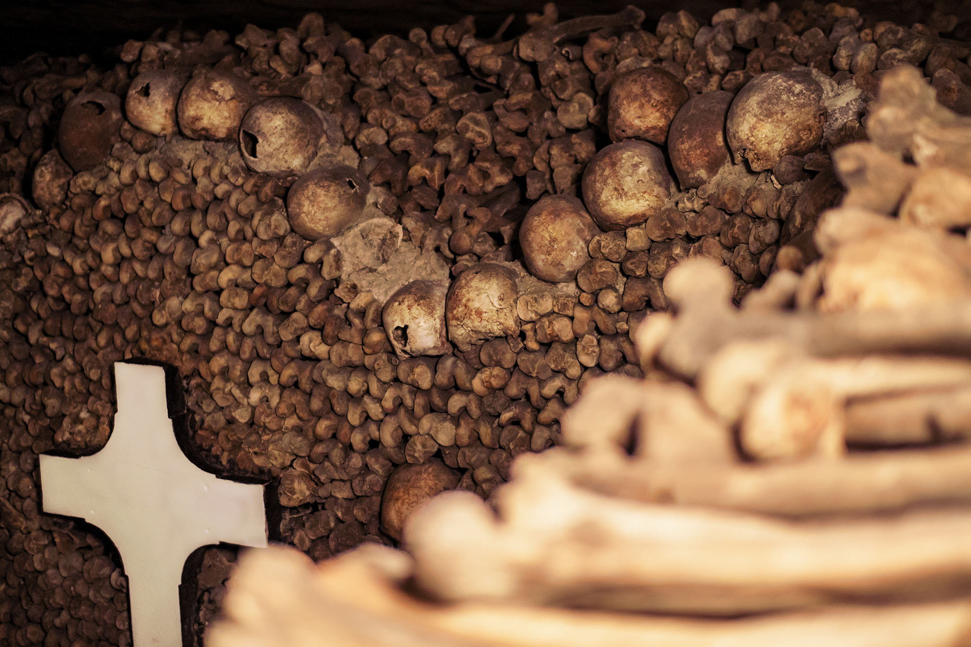 Skip-the-Line Paris Catacombs Special Access Tour in Small Group - Alojamientos en Paris