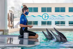 Clearwater Marine Aquarium