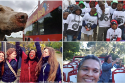 Recommendation: Catch an opera in Africa