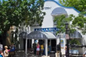 Aquarium & Shipwreck Package