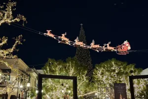 Los Angeles Holiday Lights Tour