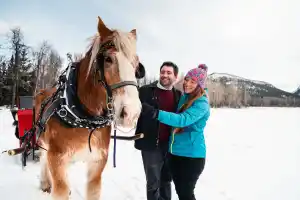 INACTIVE Private Sleigh Ride