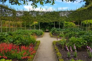Alnwick Garden