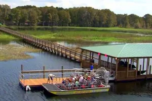 Wild Florida Airboats -- 1 hour airboat tour wildlife park admit & Gator Demo