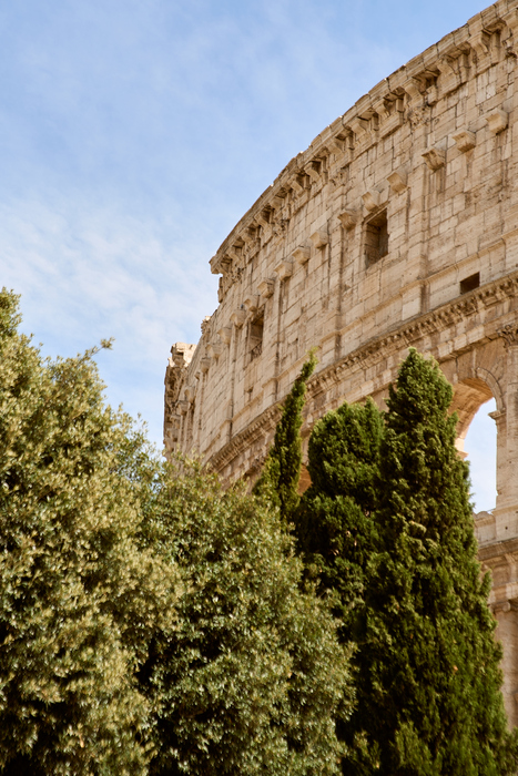 Colosseum, Arena and Roman Forum Tour in Small Group or Semiprivate - Accommodations in Rome