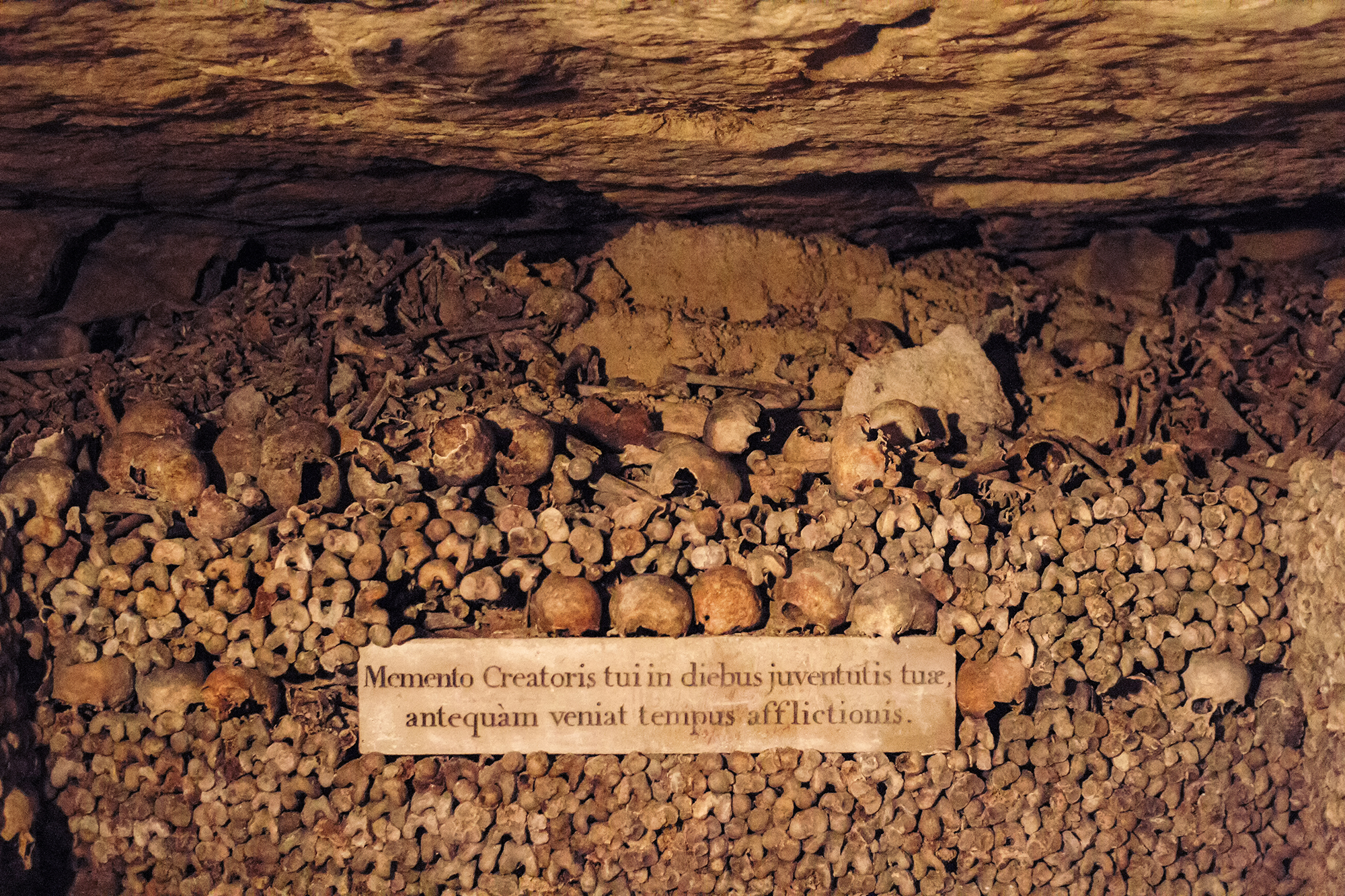 Skip-the-Line Paris Catacombs Special Access Tour in Small Group - Alojamientos en Paris