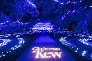 Christmas at Kew