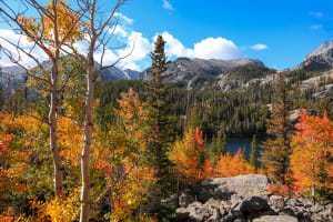 Falltime in Rocky Mountain