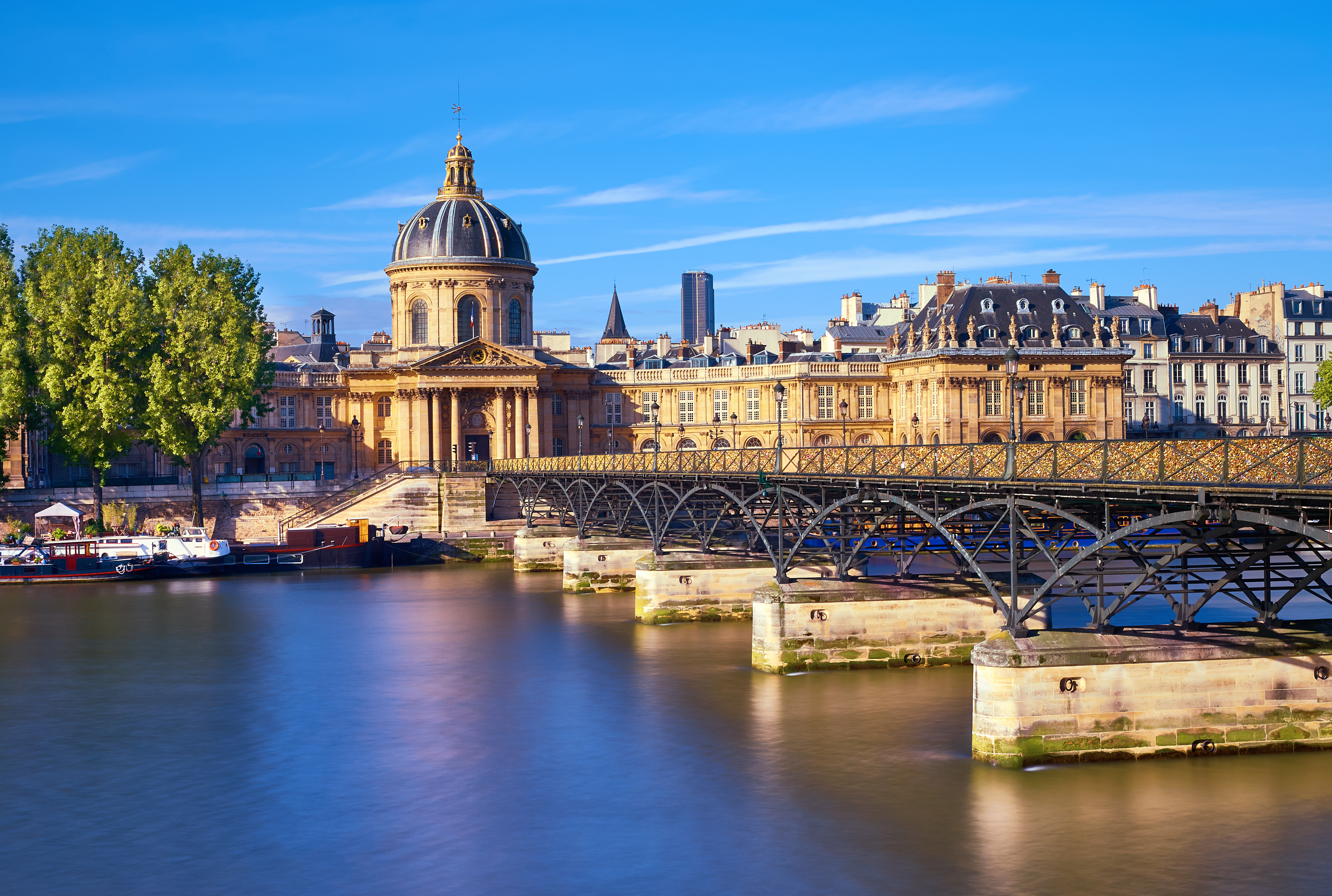 Paris in a Day: Eiffel Tower Summit, Notre Dame & Latin Quarter Tour in Small Group - Alojamientos en Paris