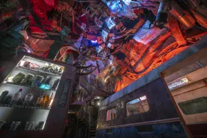 Wake The Tiger: Immersive art experience